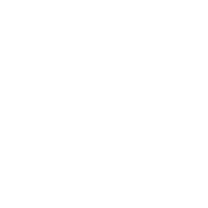 logo libraionet.it